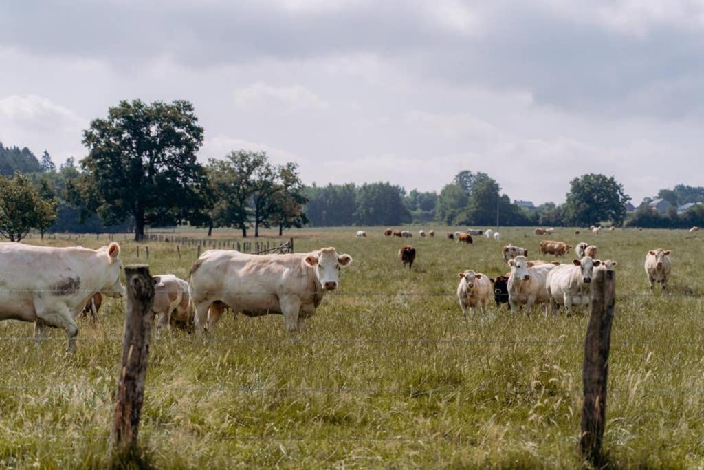 Rustig Gelegen Gite Nabij Houffalize Exterior foto
